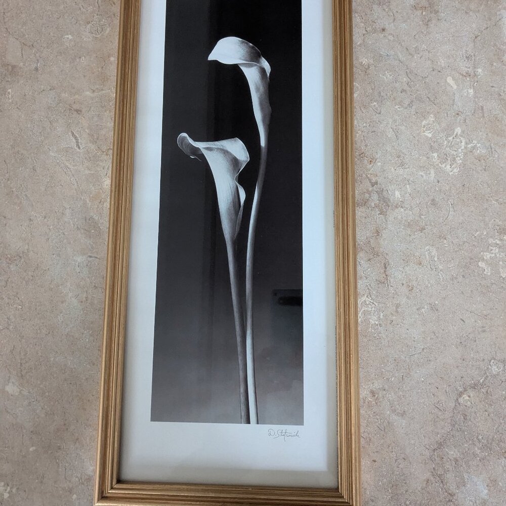Dick & Diane Stefanich framed print "Calla Lilies" - Picture 6 of 6